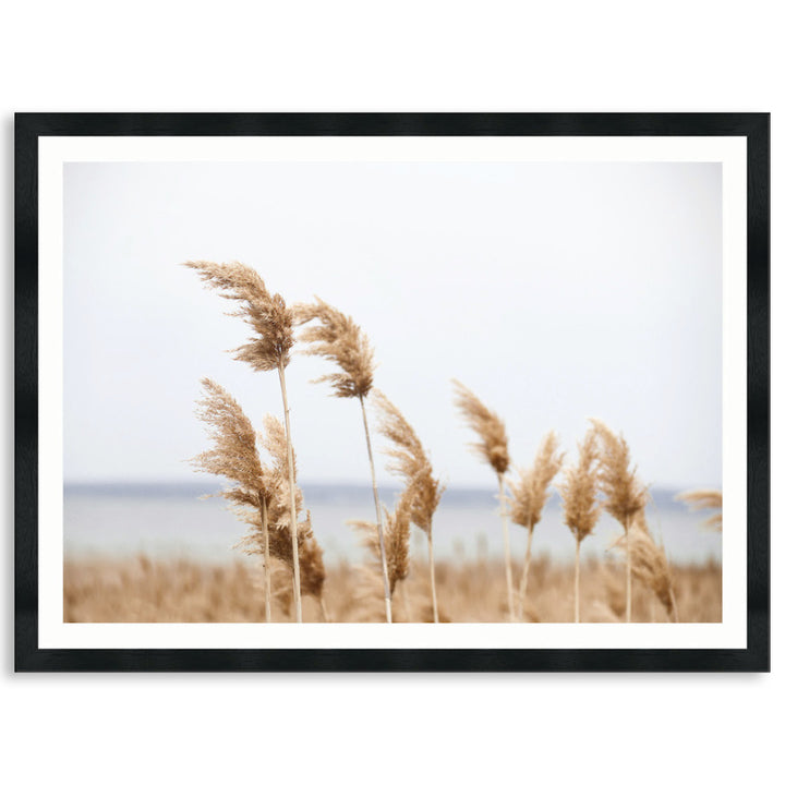 LAKE REEDS I - Framed Print