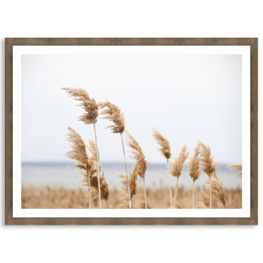 LAKE REEDS I - Framed Print