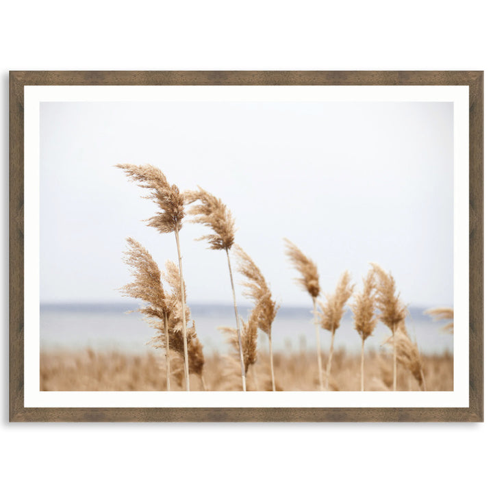 LAKE REEDS I - Framed Print