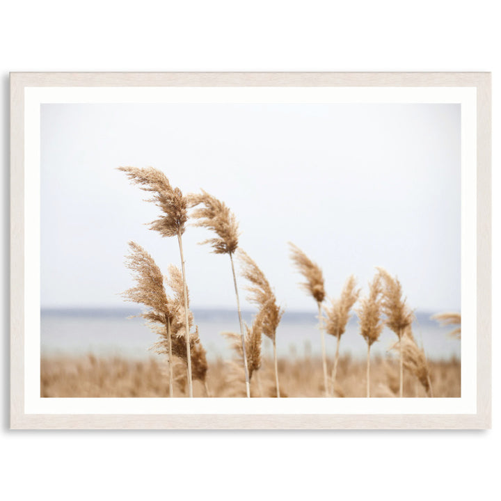 LAKE REEDS I - Framed Print