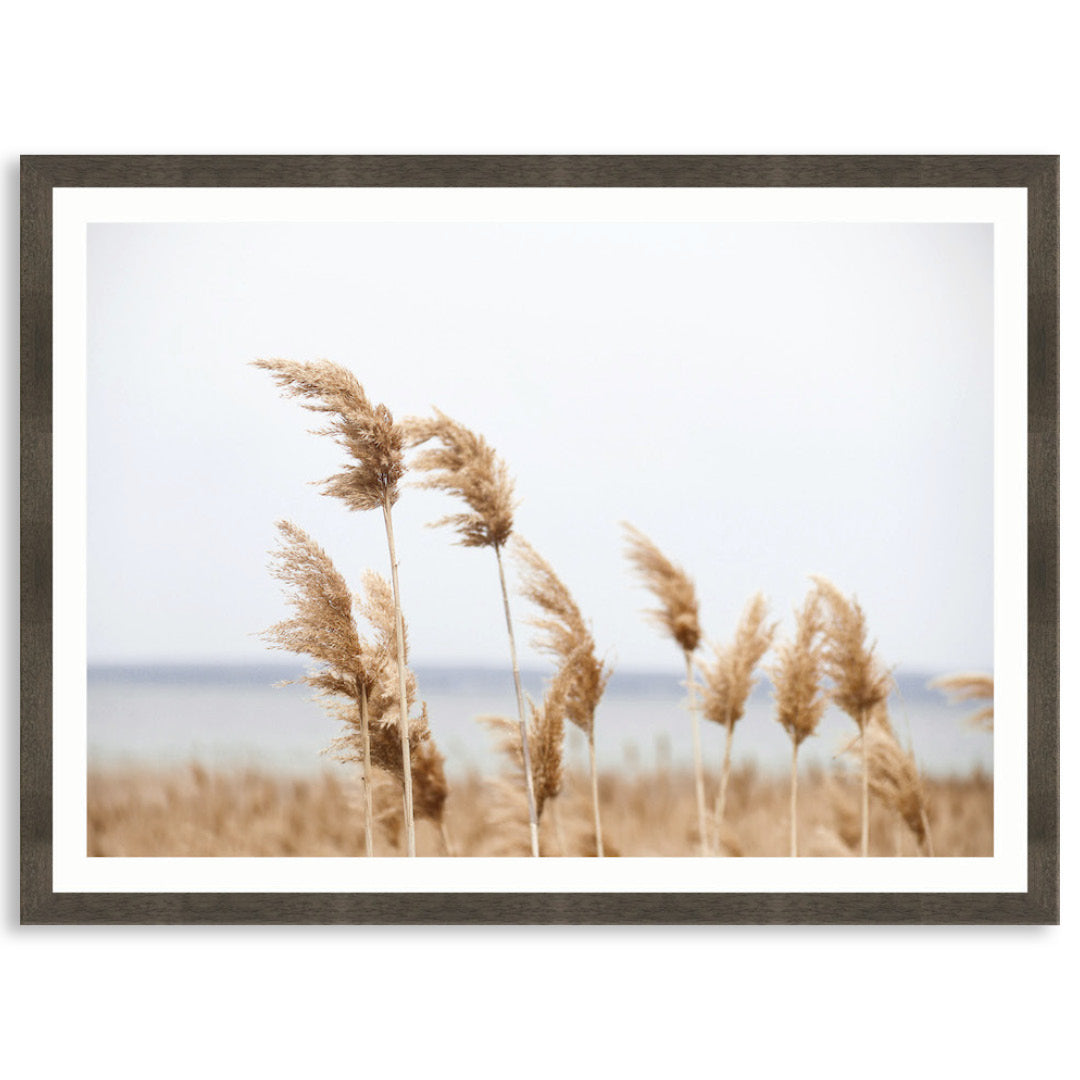 LAKE REEDS I - Framed Print