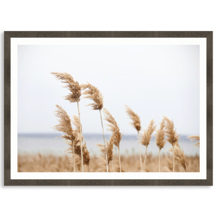 LAKE REEDS I - Framed Print
