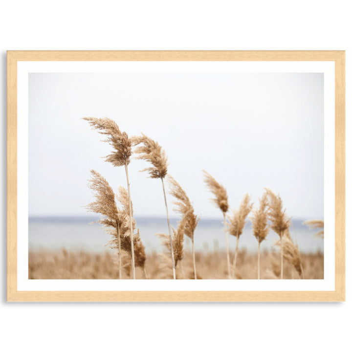 LAKE REEDS I - Framed Print