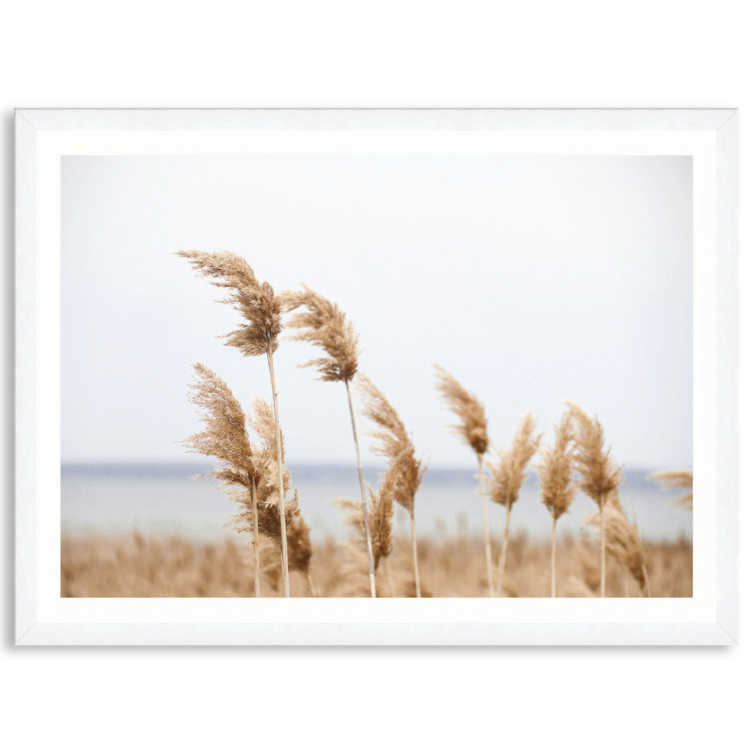 LAKE REEDS I - Framed Print
