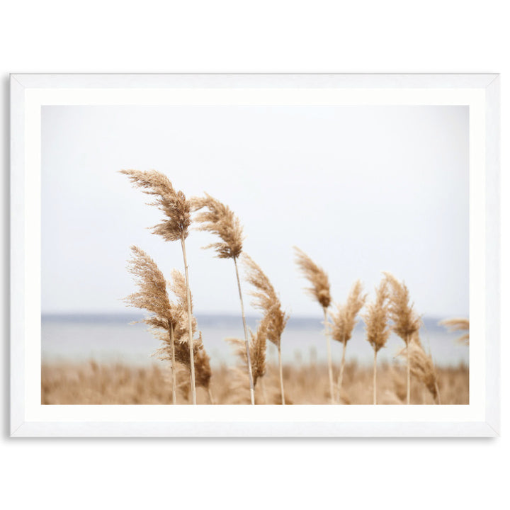 LAKE REEDS I - Framed Print