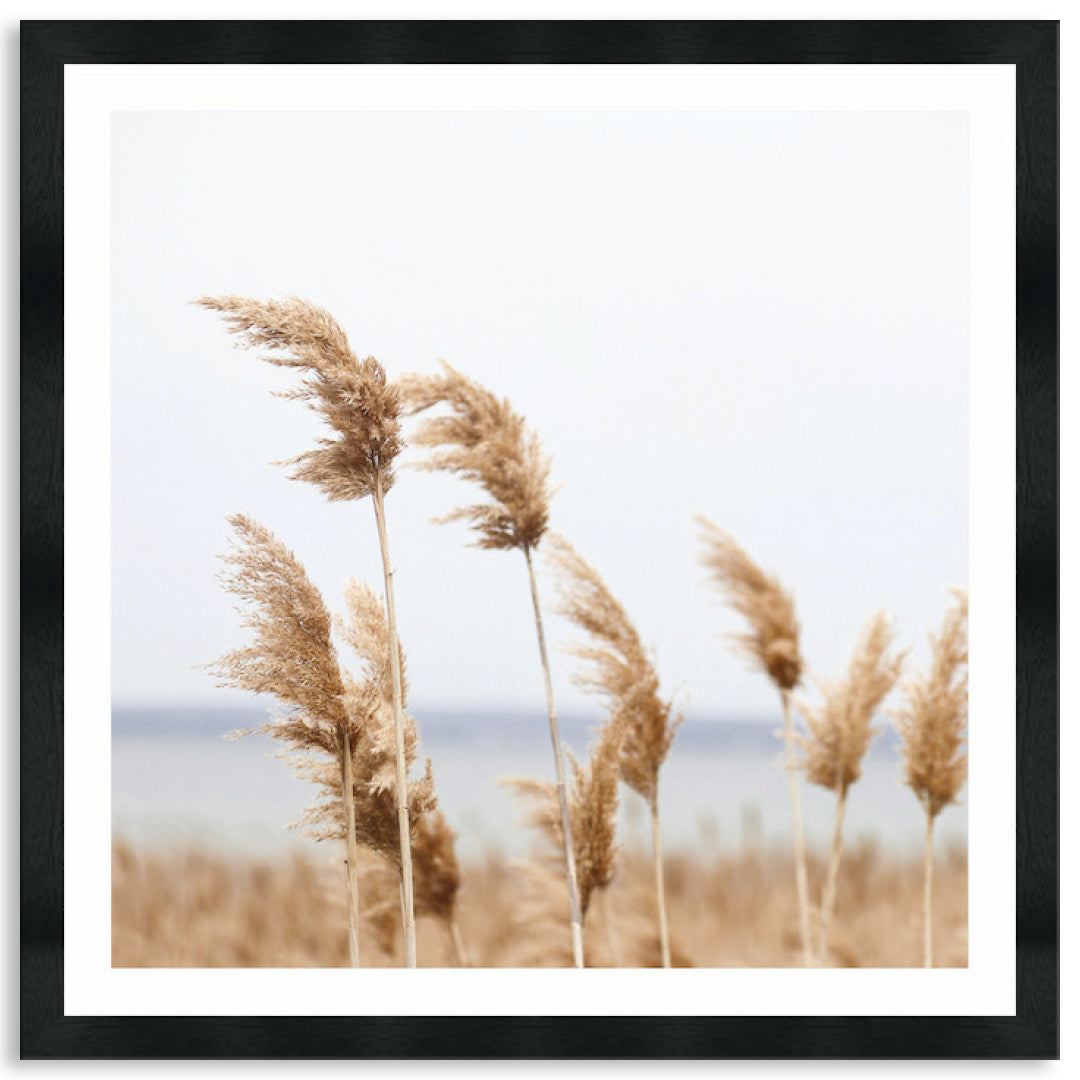 LAKE REEDS II - Framed Print