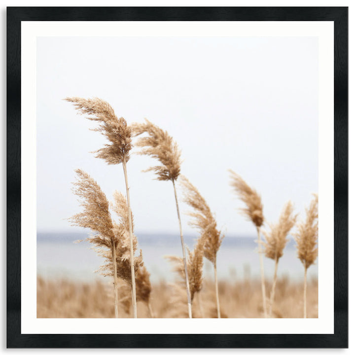 LAKE REEDS II - Framed Print