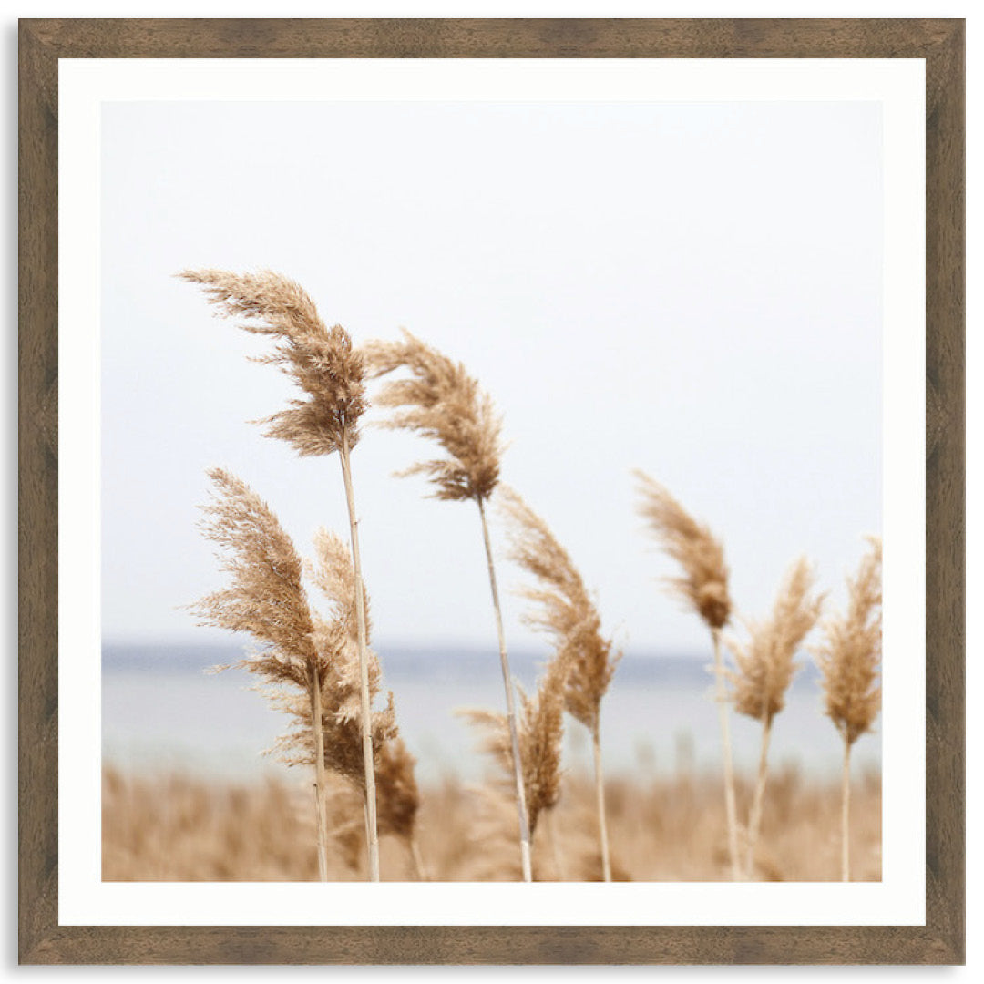 LAKE REEDS II - Framed Print