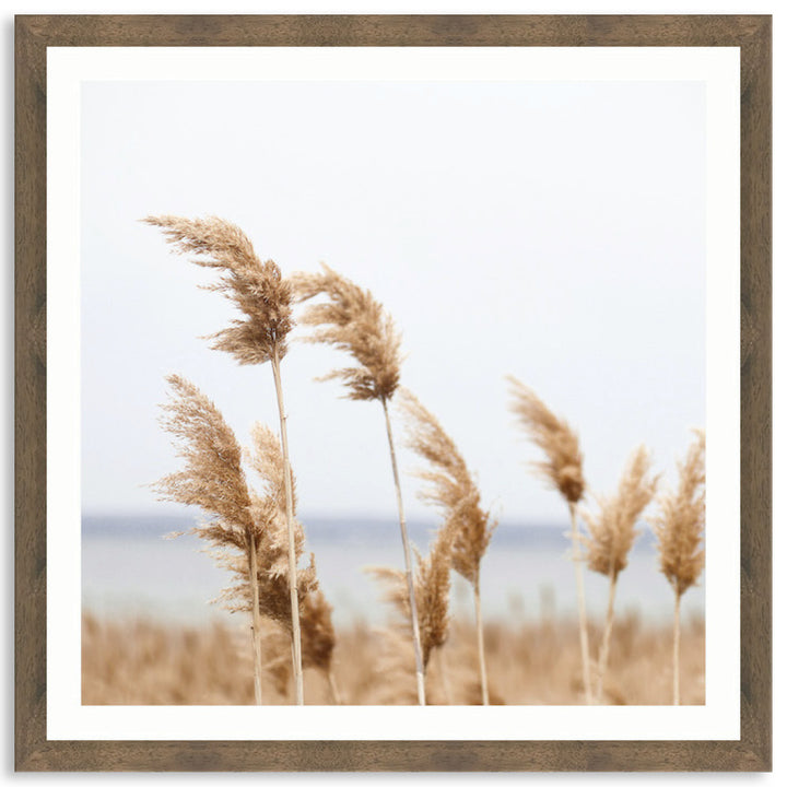 LAKE REEDS II - Framed Print