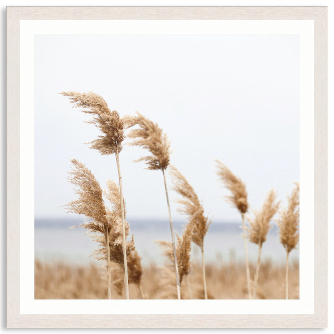 LAKE REEDS II - Framed Print
