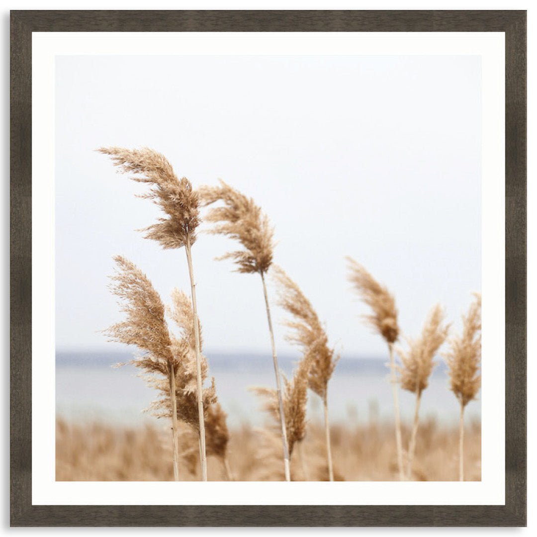 LAKE REEDS II - Framed Print