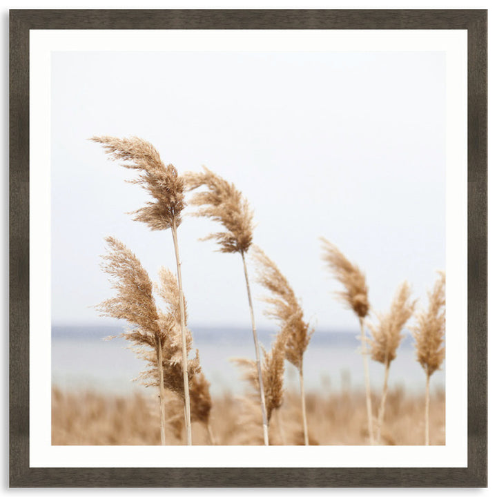 LAKE REEDS II - Framed Print