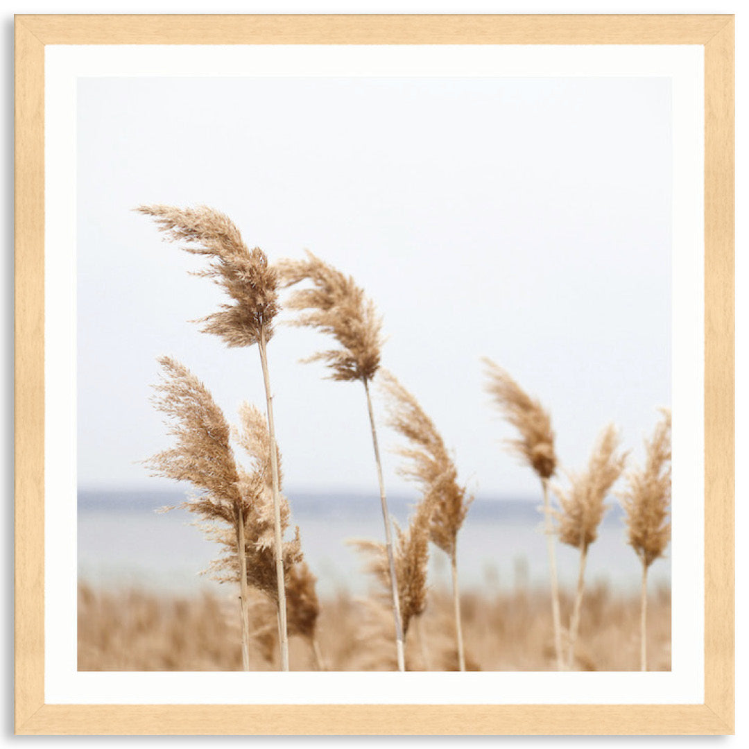 LAKE REEDS II - Framed Print