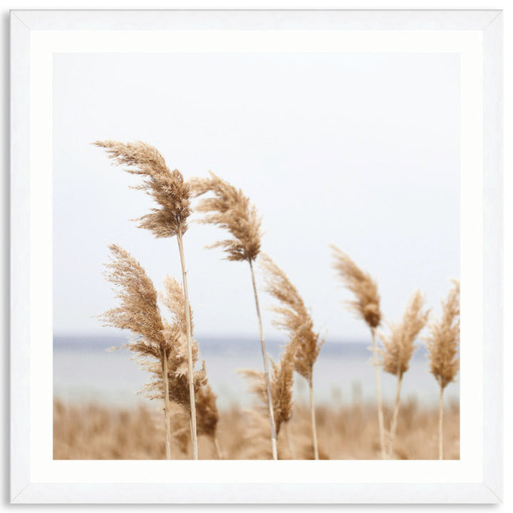 LAKE REEDS II - Framed Print