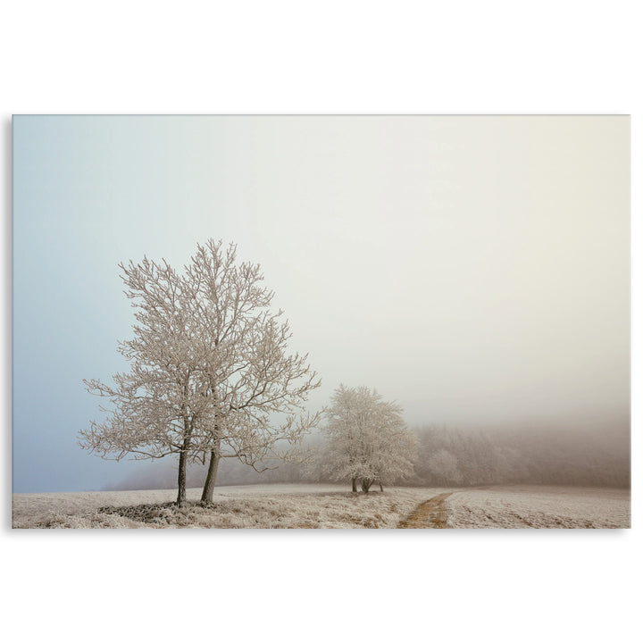 EARLY MORNING I - Canvas Print