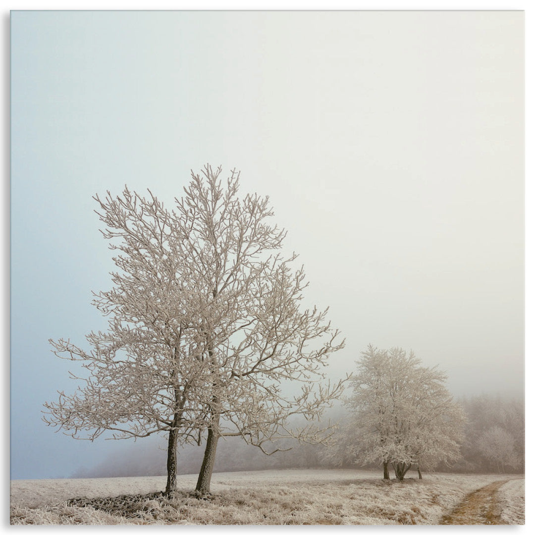 EARLY MORNING II - Canvas Print