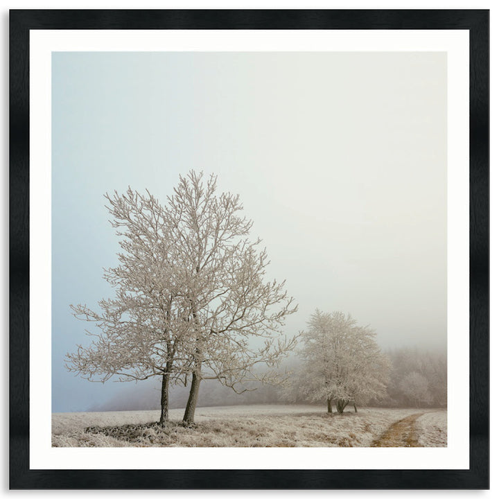 EARLY MORNING II - Framed Print