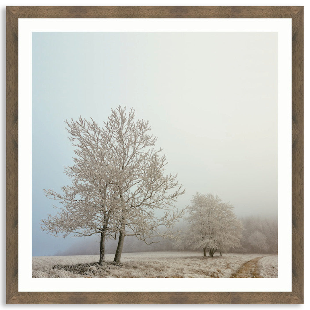 EARLY MORNING II - Framed Print