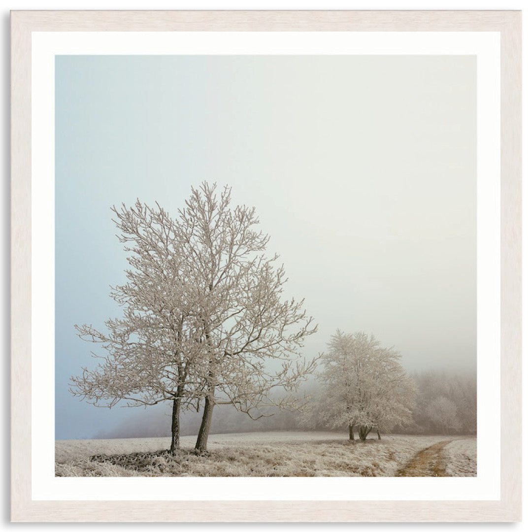 EARLY MORNING II - Framed Print