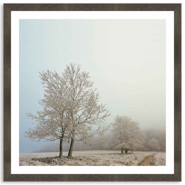 EARLY MORNING II - Framed Print