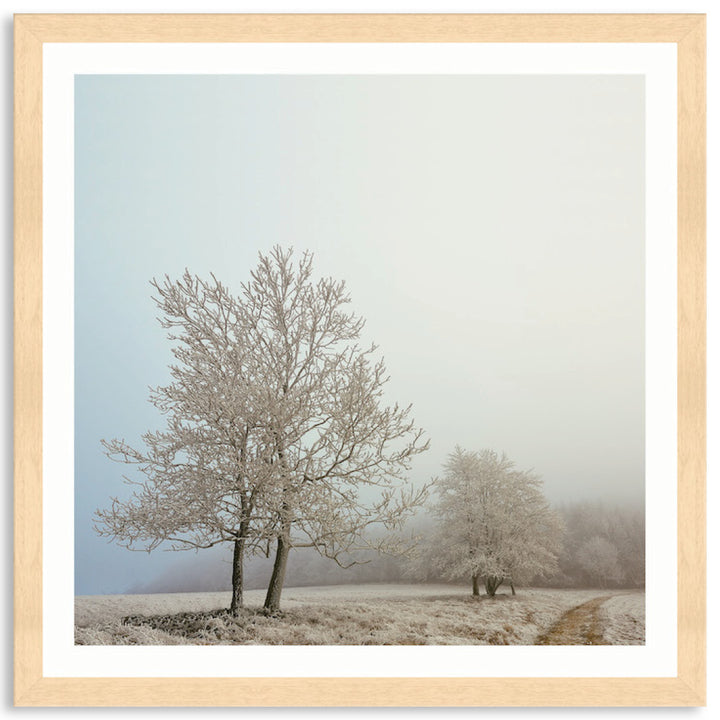 EARLY MORNING II - Framed Print