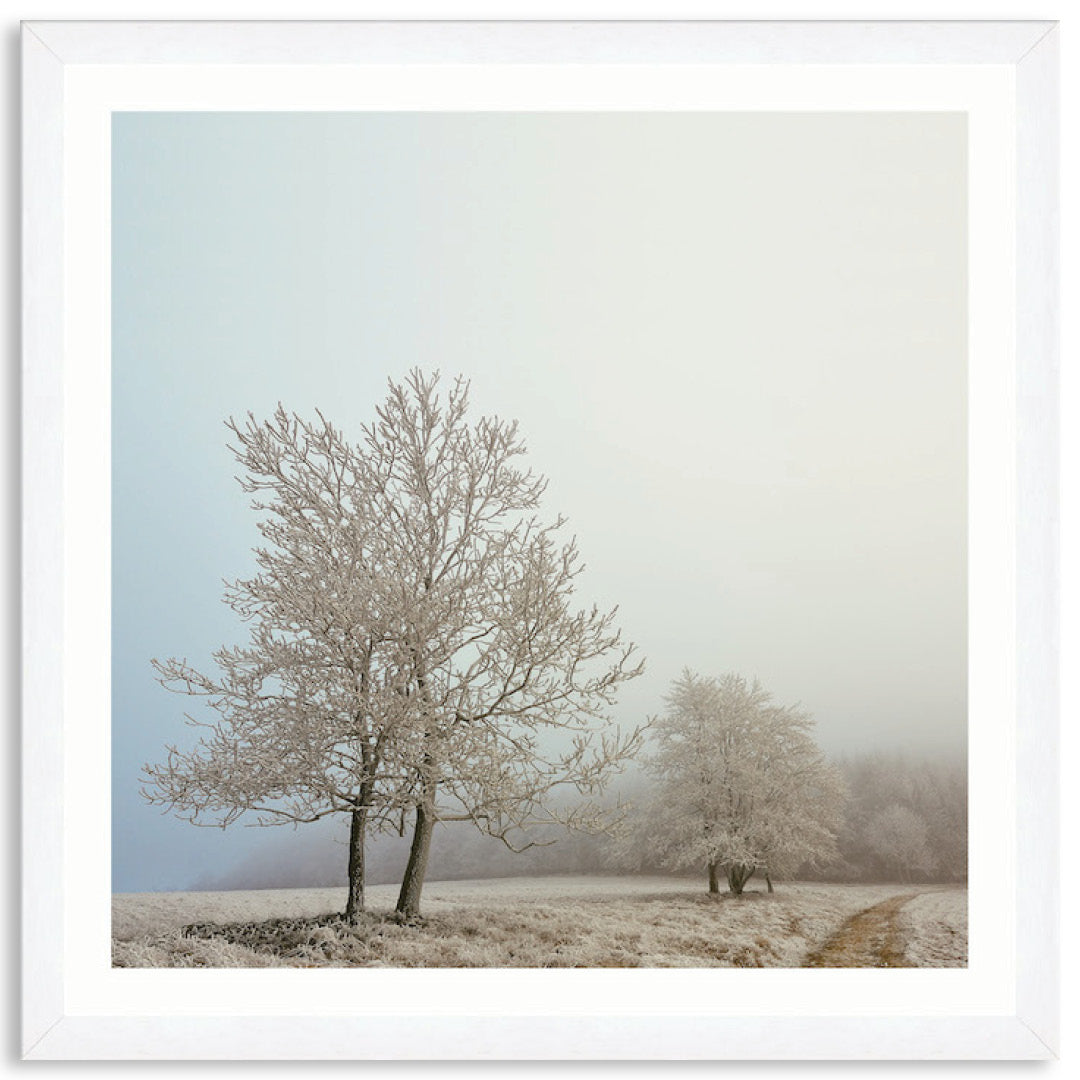 EARLY MORNING II - Framed Print