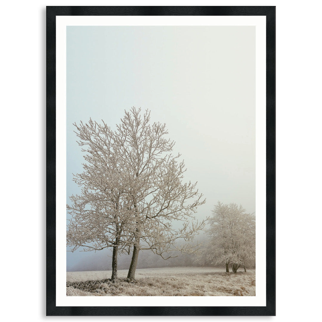 EARLY MORNING III - Framed Print
