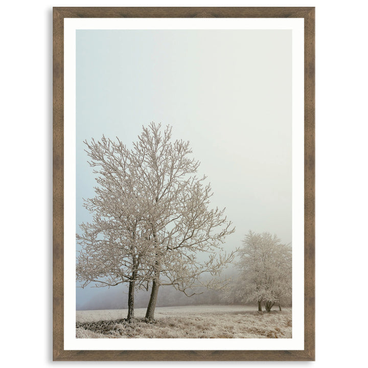 EARLY MORNING III - Framed Print