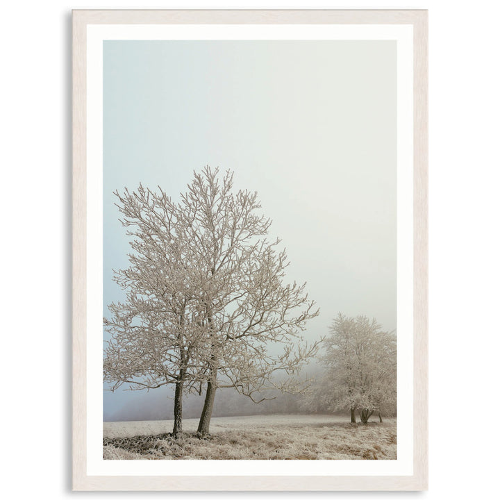 EARLY MORNING III - Framed Print