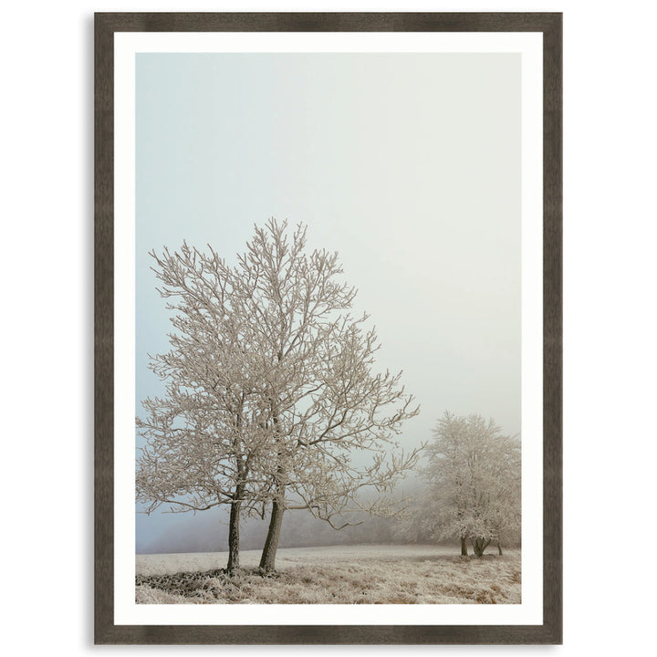 EARLY MORNING III - Framed Print