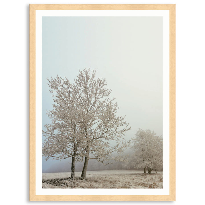 EARLY MORNING III - Framed Print