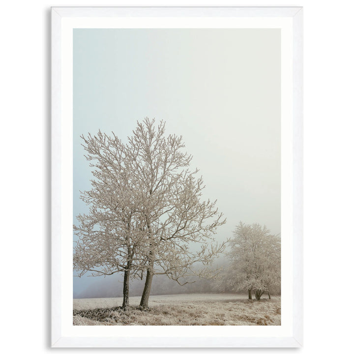 EARLY MORNING III - Framed Print