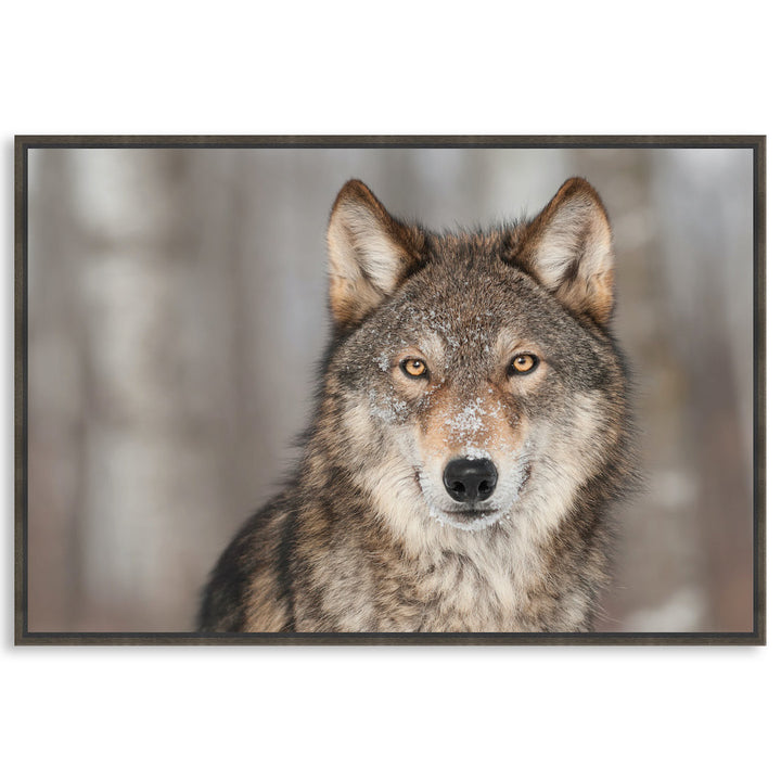 WHISPER I - Framed Canvas