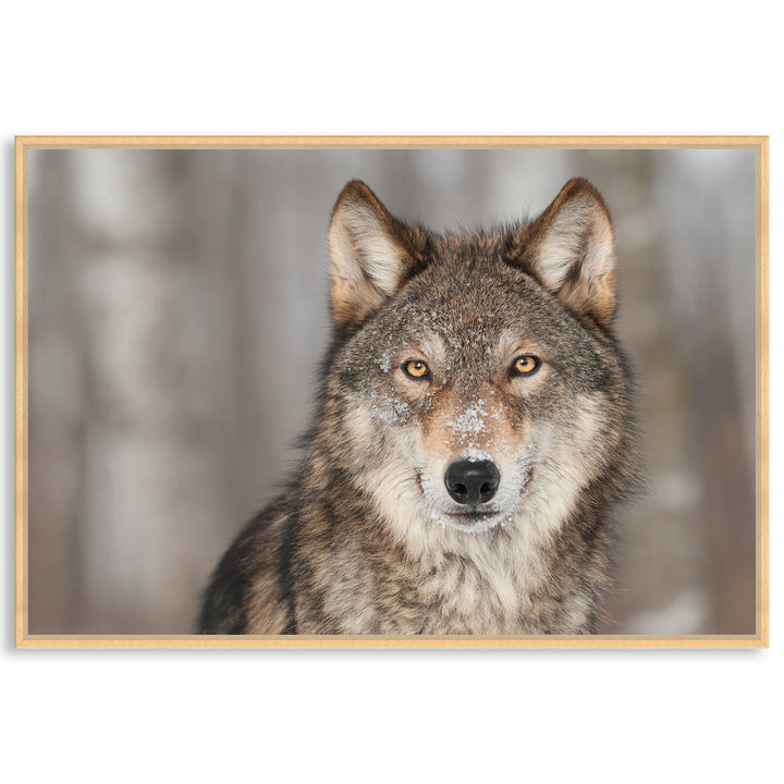 WHISPER I - Framed Canvas