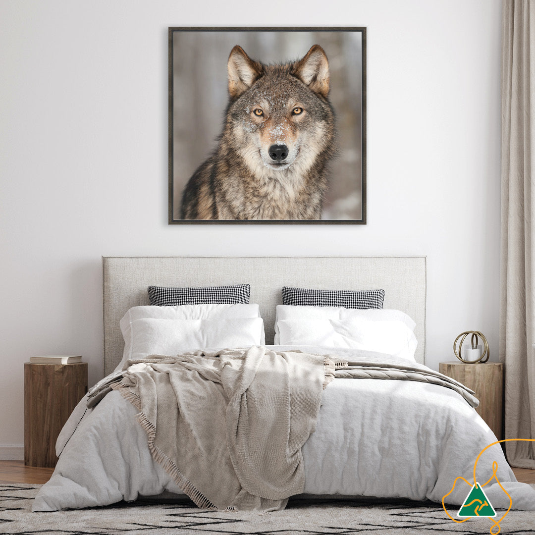 WHISPER II - Framed Canvas