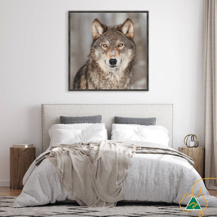WHISPER II - Framed Canvas