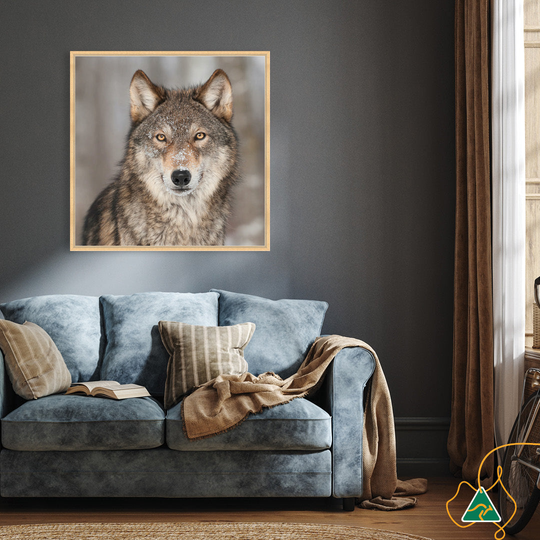 WHISPER II - Framed Canvas