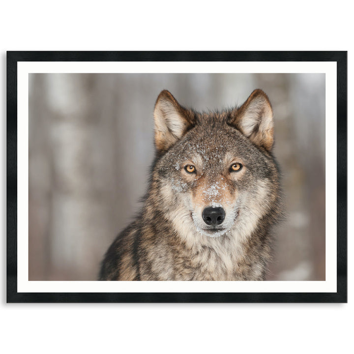 WHISPER I - Framed Print