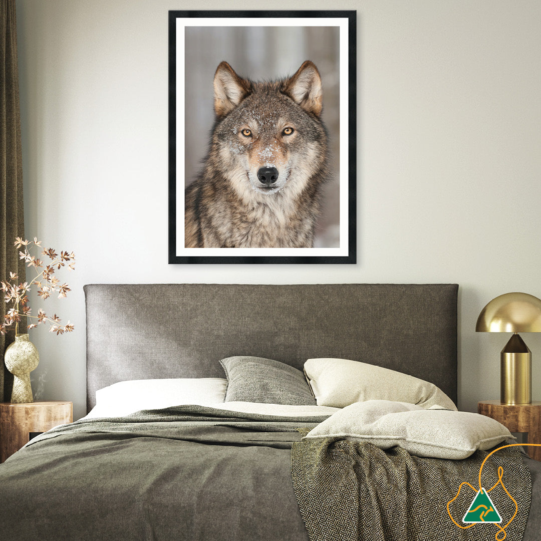 WHISPER III - Framed Print