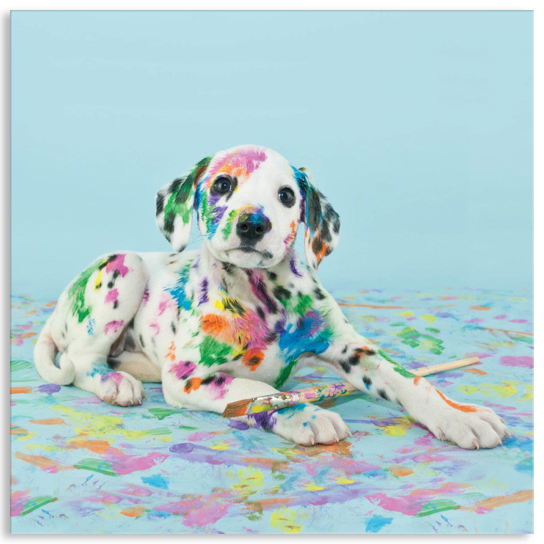 PAINT PUP IV - Canvas Print