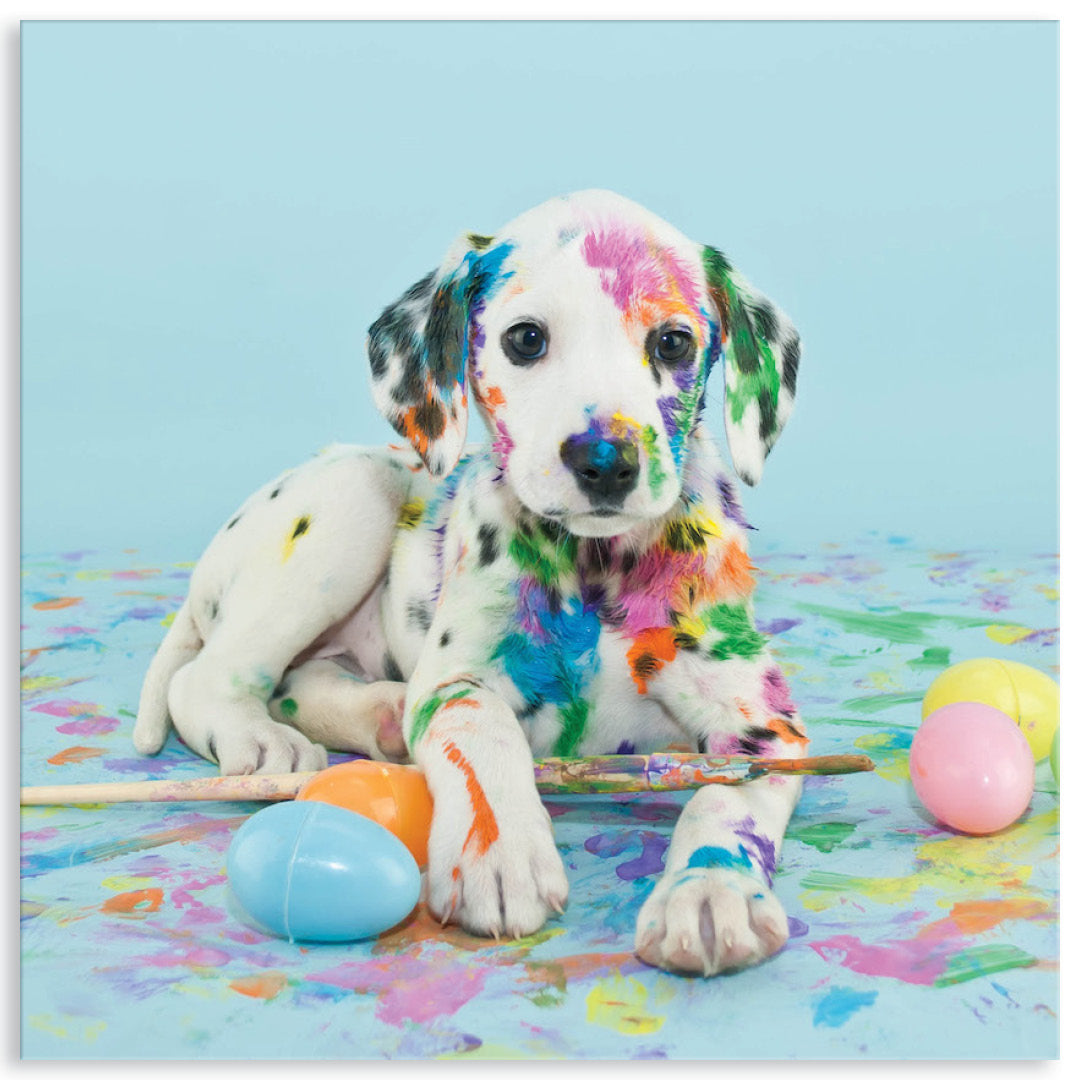 PAINT PUP VI - Canvas Print