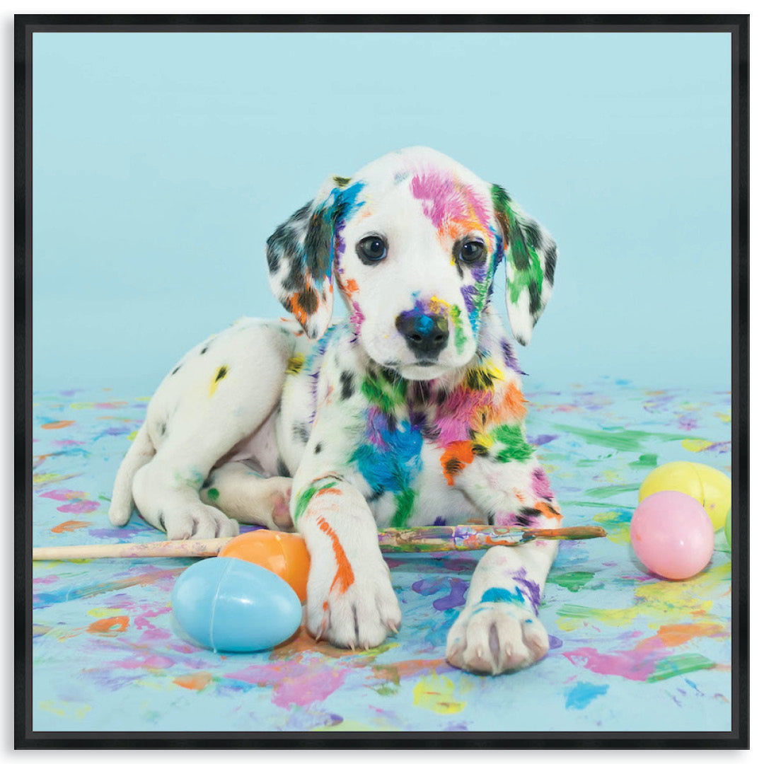 PAINT PUP VI - Framed Canvas