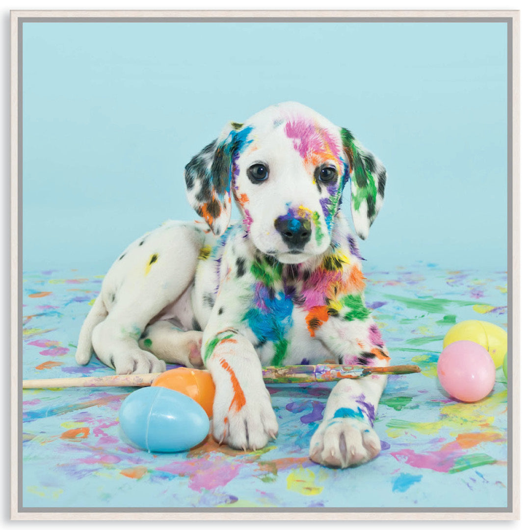 PAINT PUP VI - Framed Canvas