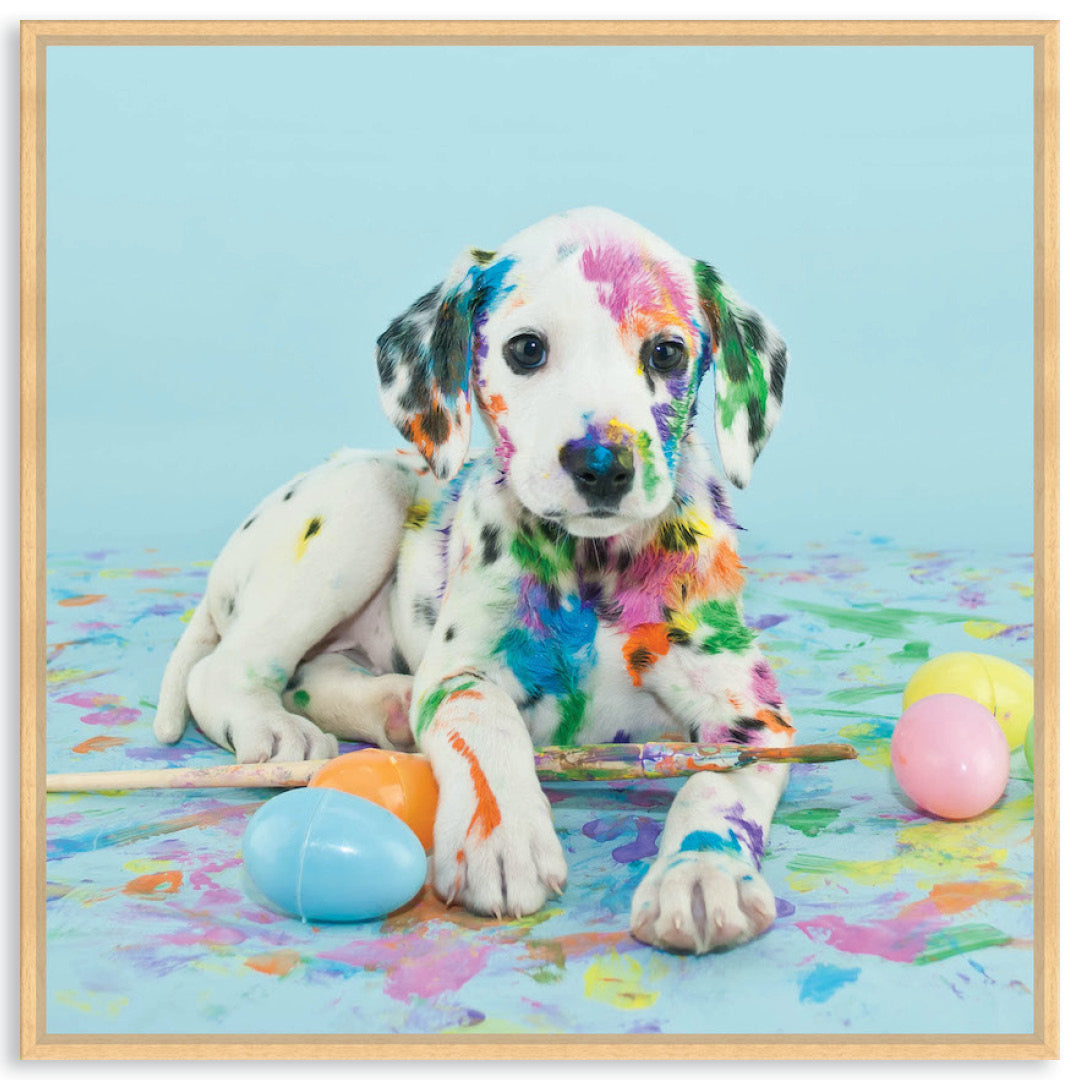 PAINT PUP VI - Framed Canvas