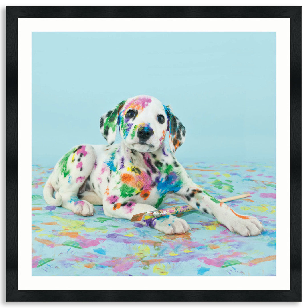 PAINT PUP IV - Framed Print