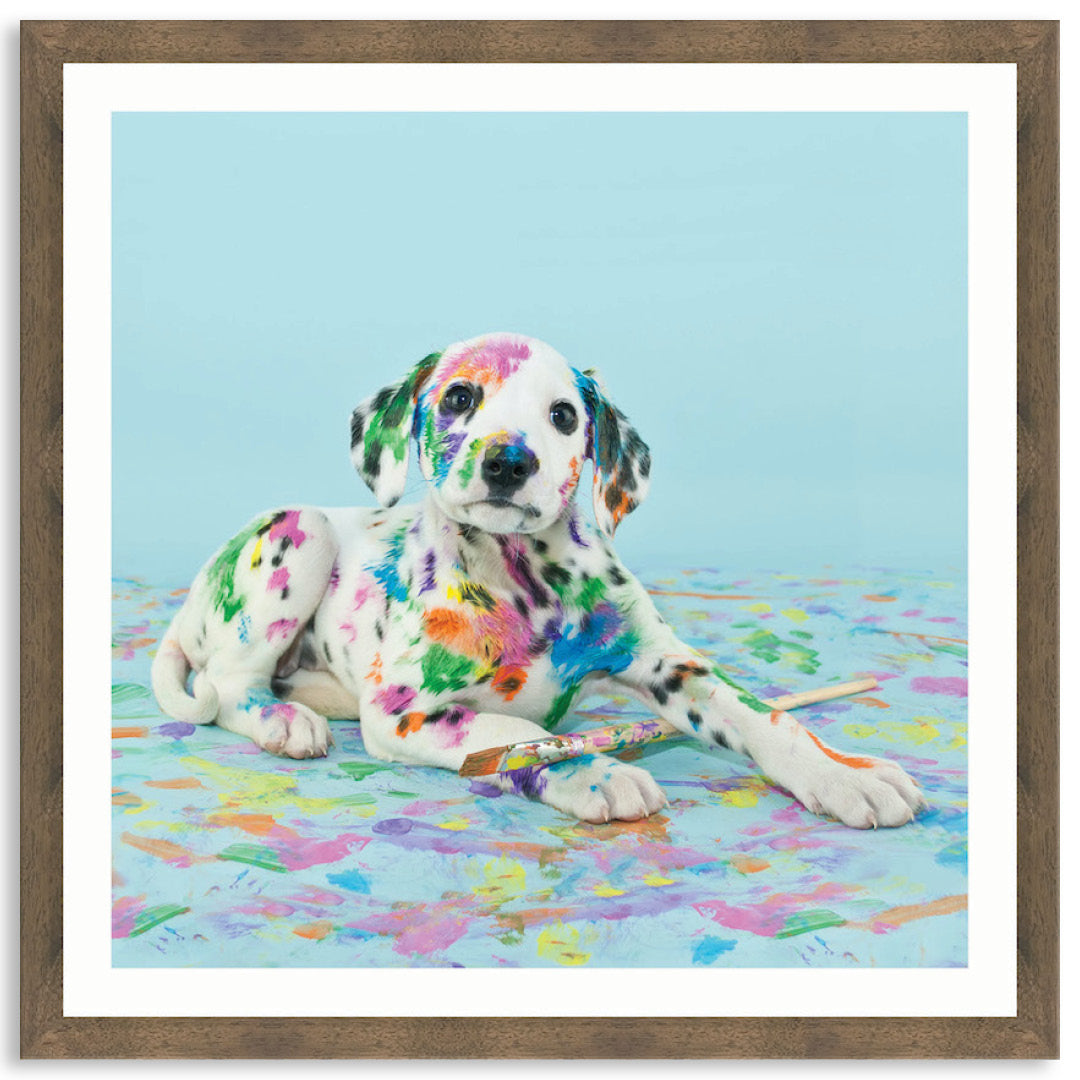 PAINT PUP IV - Framed Print