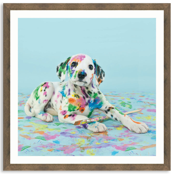 PAINT PUP IV - Framed Print