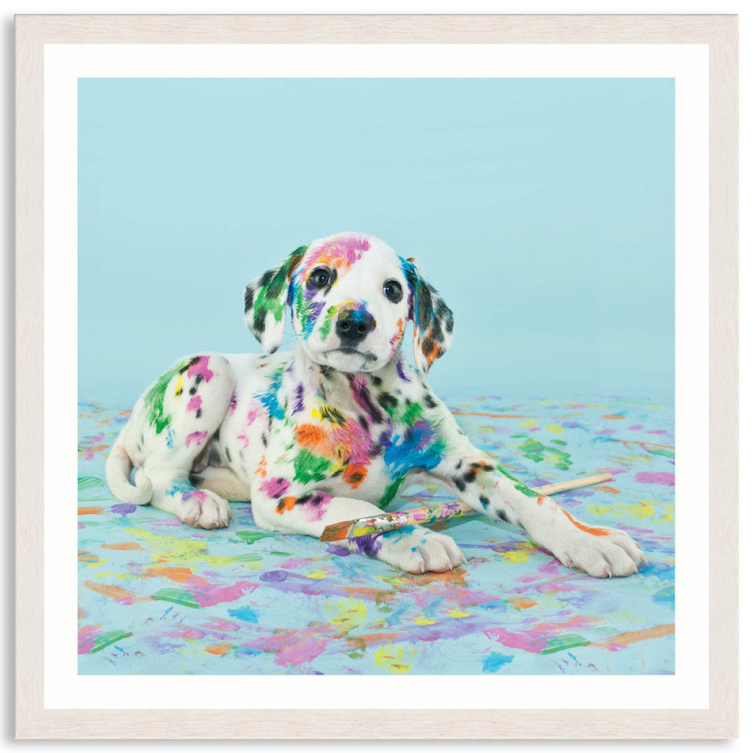 PAINT PUP IV - Framed Print