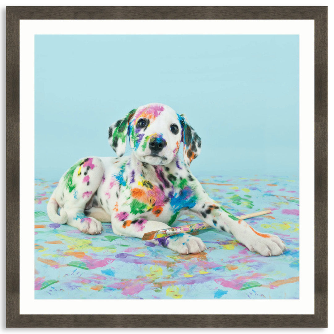 PAINT PUP IV - Framed Print