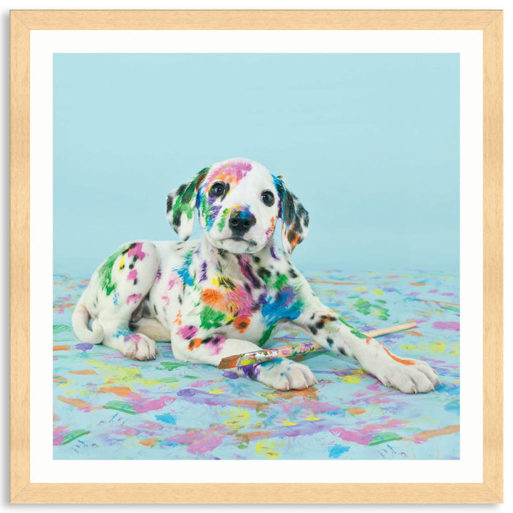 PAINT PUP IV - Framed Print
